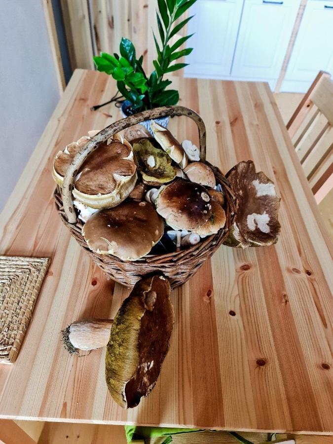 Chata Zorka Oparany Bagian luar foto